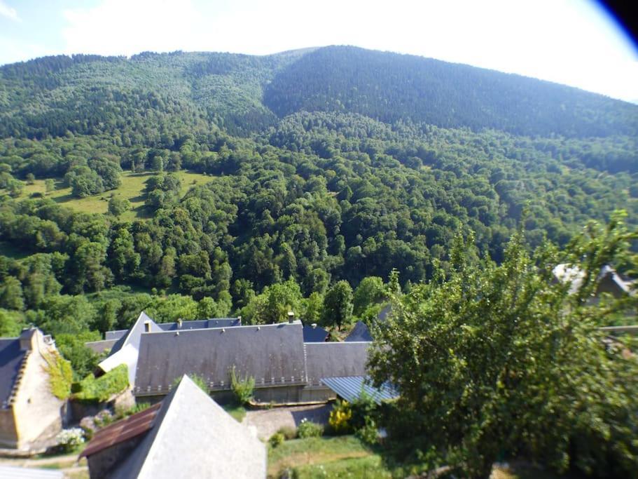 Maison Familiale Pour 8 Saint-Aventin 외부 사진