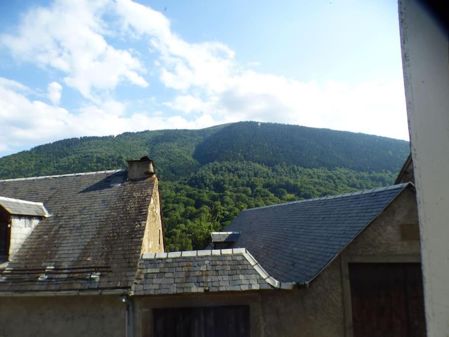 Maison Familiale Pour 8 Saint-Aventin 외부 사진